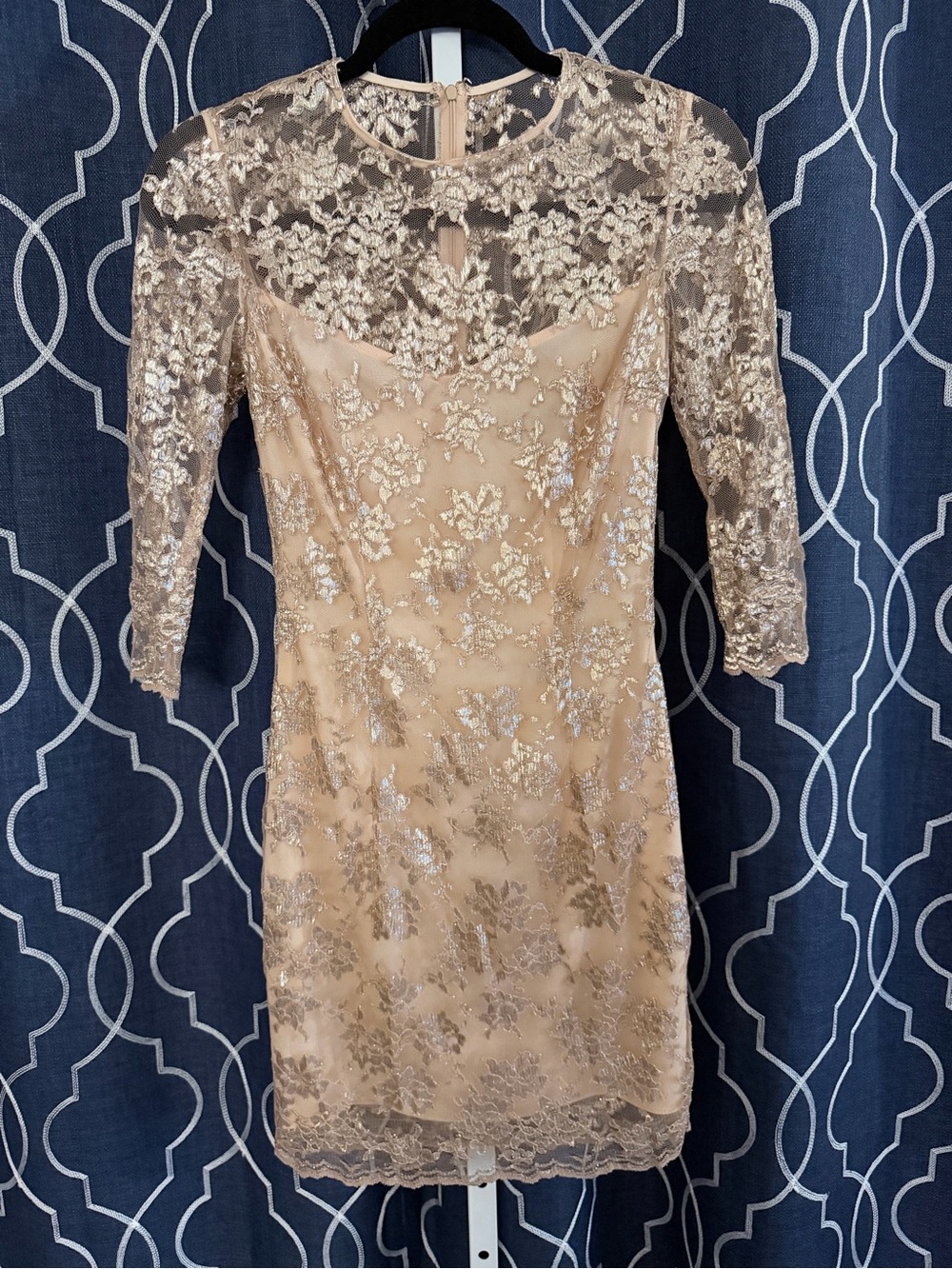 Slate & Willow Rose Gold Lace Sheath Dress